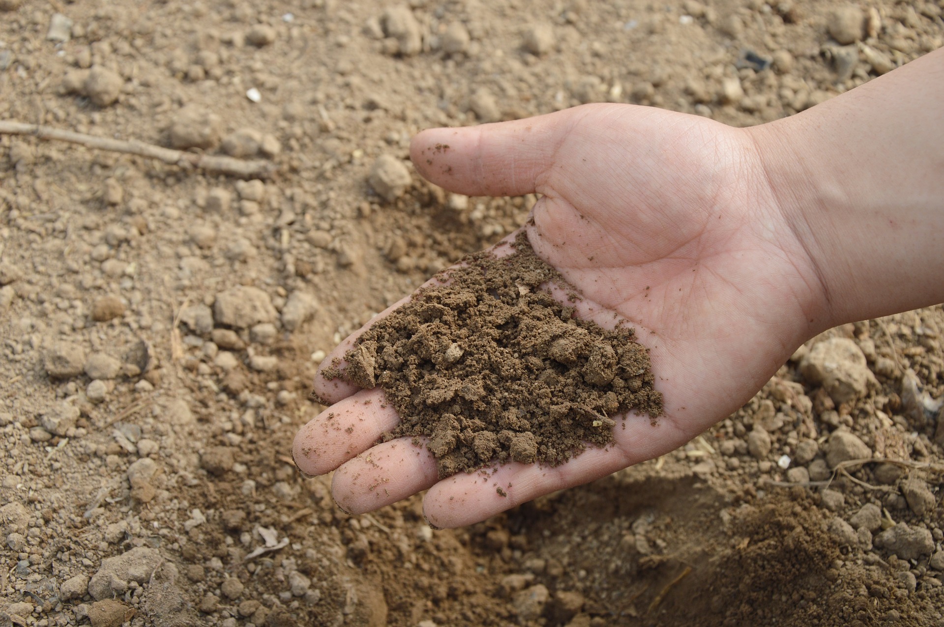 soil-766281_1920.jpg