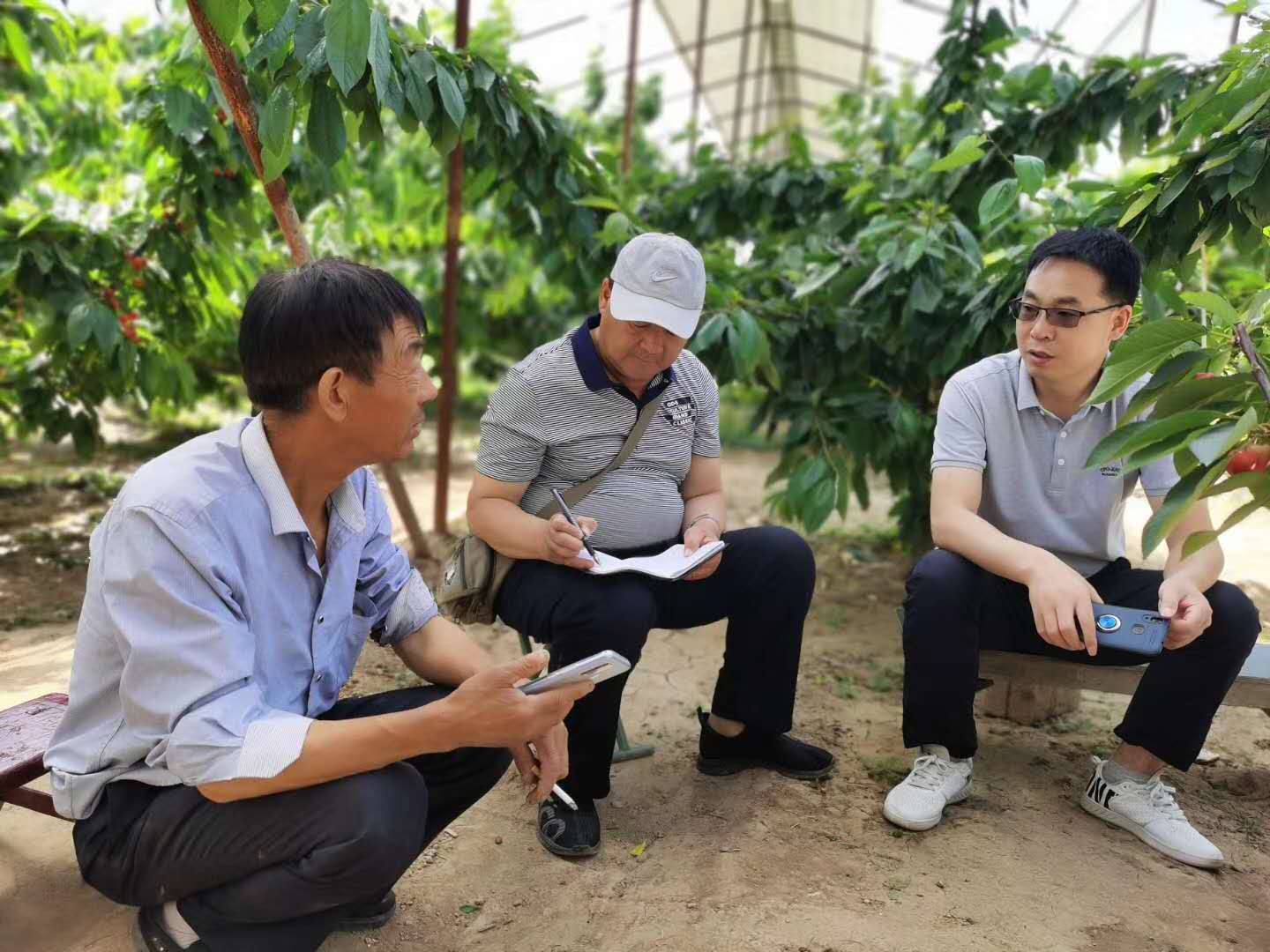 路老师和电视台现场指导农户照片.jpg